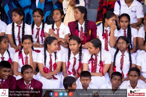 12045573_10154299757204251_5459128340285499773_o